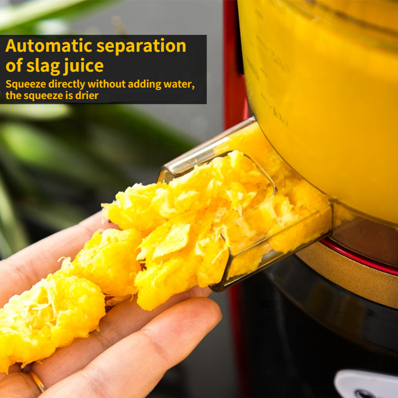 150W Electric Slow Juicer