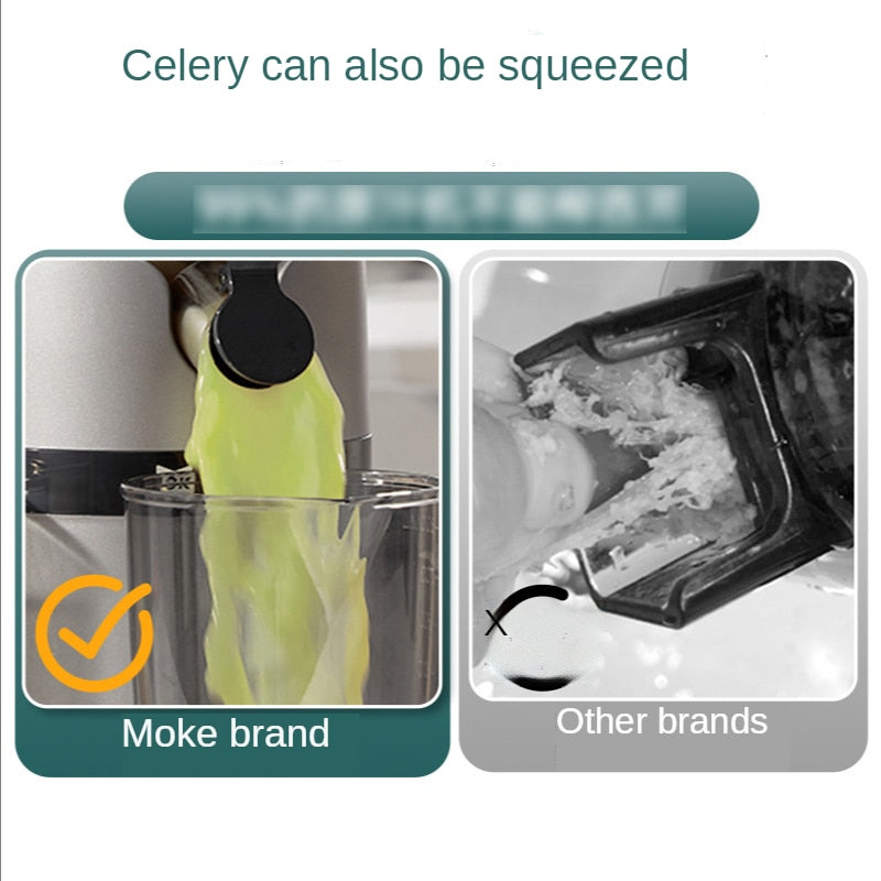 Electric Fruit Juicer