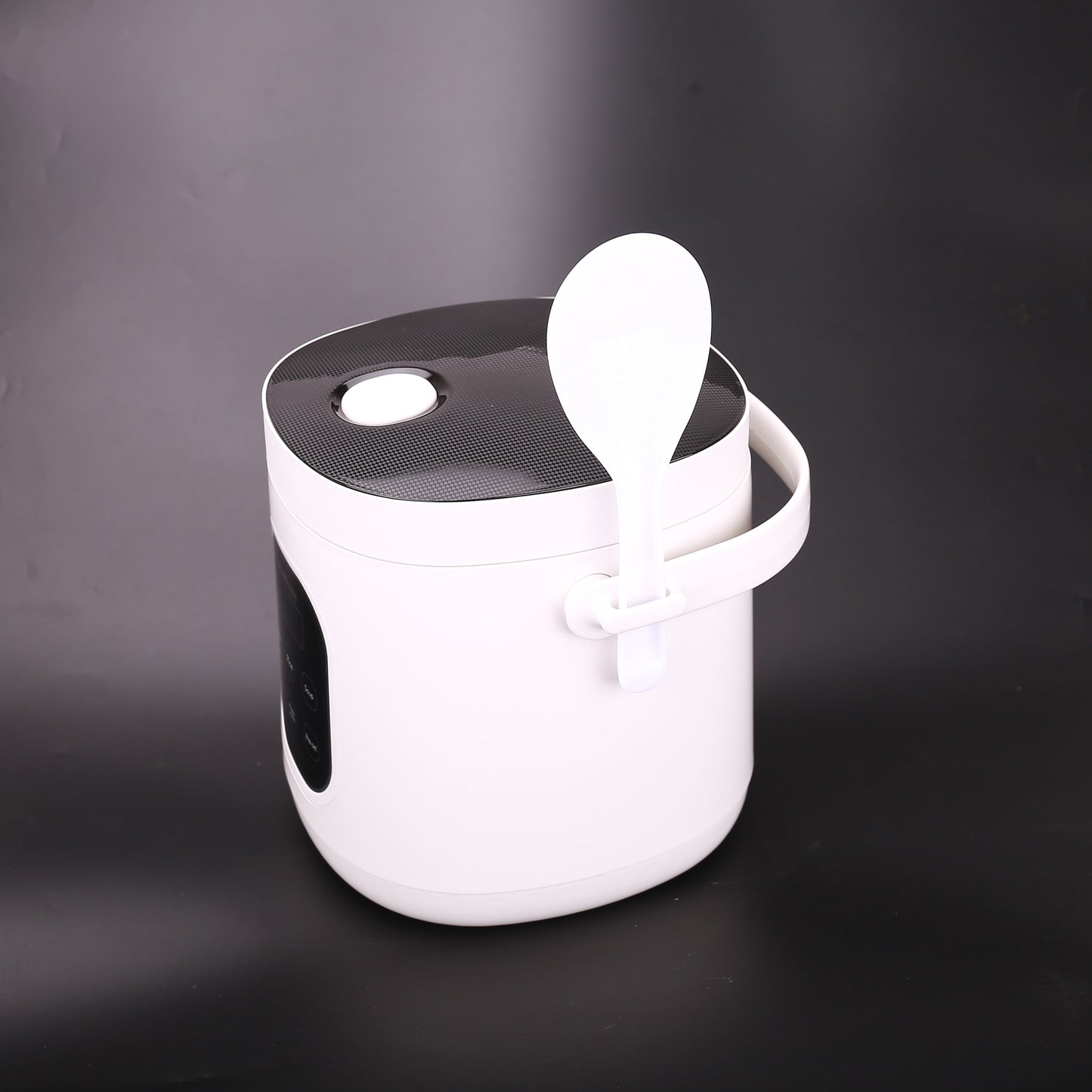 Rice Cooker on the go