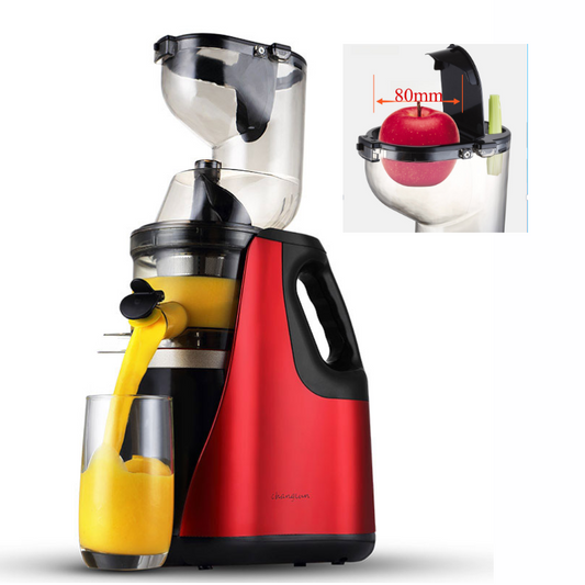 150W Electric Slow Juicer