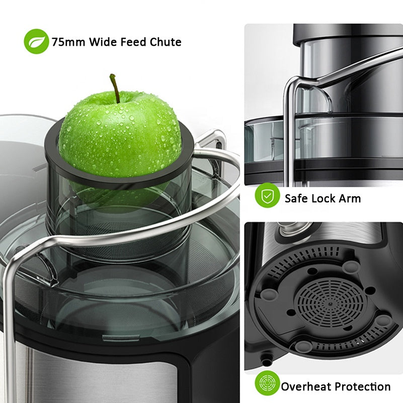 400W 800W Electric Fruit Juicer