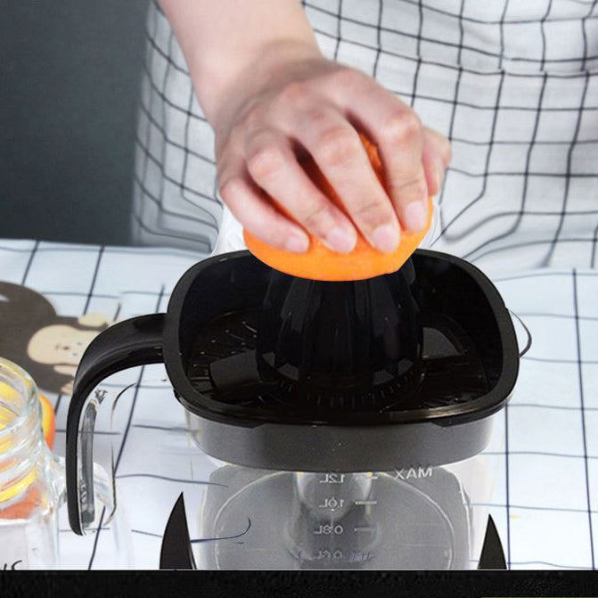 Boronsilicate Electric Juicer