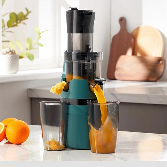 Electric Fruit Juicer