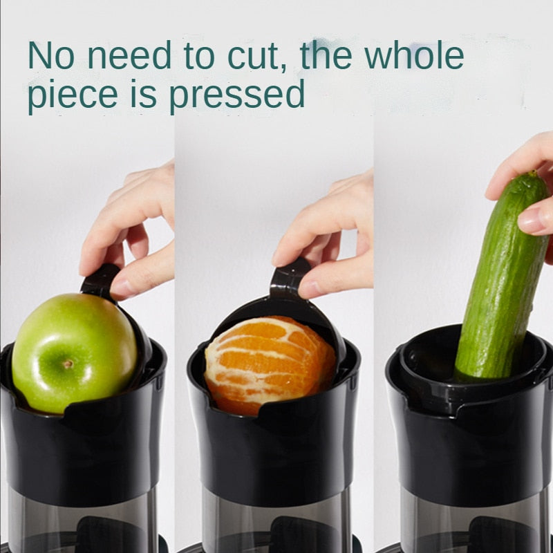 Electric Fruit Juicer