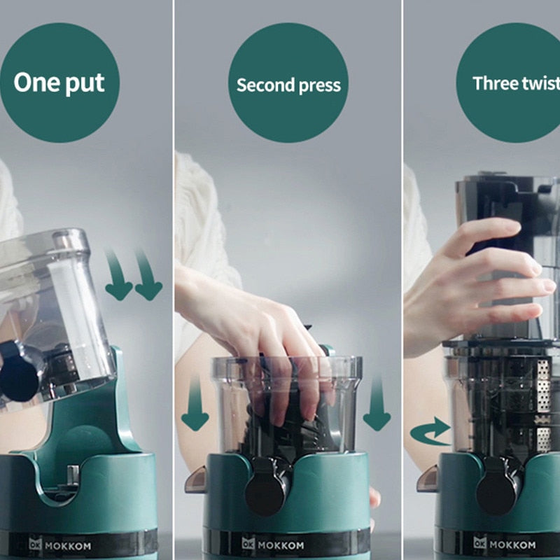 Electric Fruit Juicer