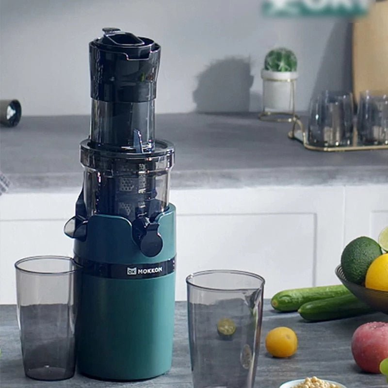 Electric Fruit Juicer