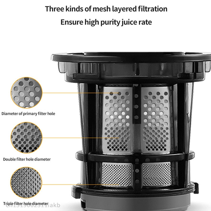 Electric Fruit Juicer