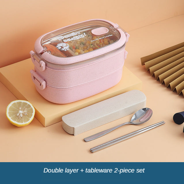 Stainless Insulated Lunch Box